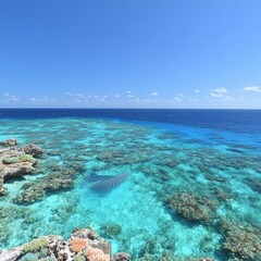 Fototapeta premium Stunning Aerial View of Vibrant Coral Reef and Clear Blue Ocean Waters Under a Bright Sunny Sky - Ideal for Nature and Marine Life Enthusiasts