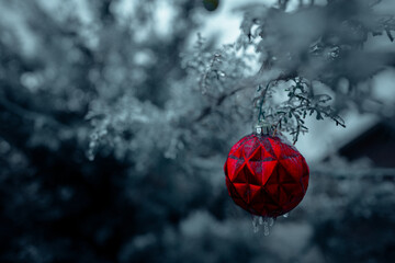 Red Ornament in a Frozen Tree