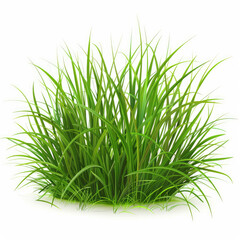 A green grass isolated White Background,2d vector flat
