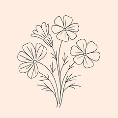 Cosmos flower drawings Black and white with line art on a isolated white background (15)