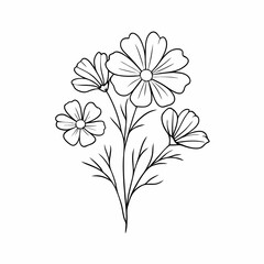 Cosmos flower drawings Black and white with line art on a isolated white background (20)