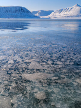 Pancake ice, process of forming of sea ice. Coast of Colesbukta part of Isfjorden during winter, on the island of Spitsbergen in the Svalbard Archipelago. Arctic, Norway.