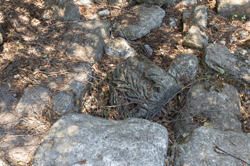Fragment  of pillar decorated with stone carvings in synagogue from 1st 2nd centuries AD near Beit Shearim necropolis near Kiryat Tivon city in northern Israel