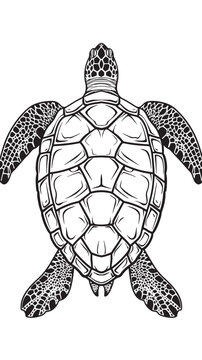 Isolated black outline monochrome sea green turtle on white background vector