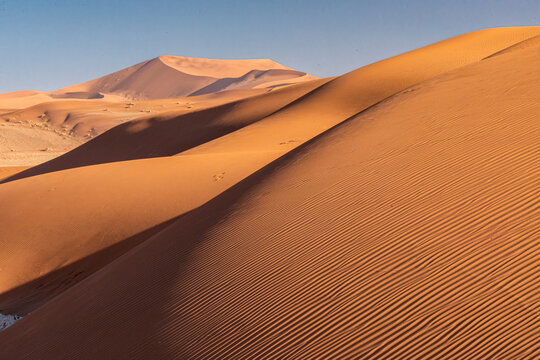 Dune pattern