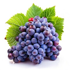 Fototapeta premium Fresh Zinfandel Grapes Isolated on White Background Perfect for Culinary Presentations and Wine Labels
