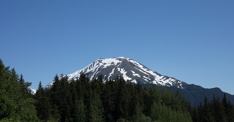 mountain peak with snow above trees