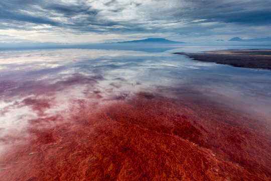 Africa, Tanzania, Enhanced contrast aerial view of patterns of red algae and salt formations in shallow salt waters of Lake Natron and distant Ol Doinyo Lengai volcano