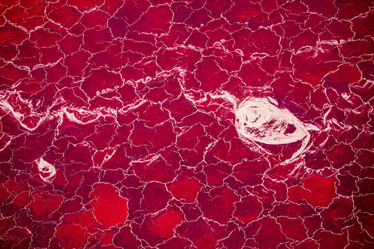 Africa, Tanzania, Aerial view of patterns of red algae and salt formations in shallow salt waters of Lake Natron