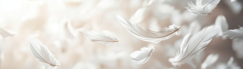 Ethereal White Feathers Floating in Soft Light - Dreamy and Serene Atmosphere