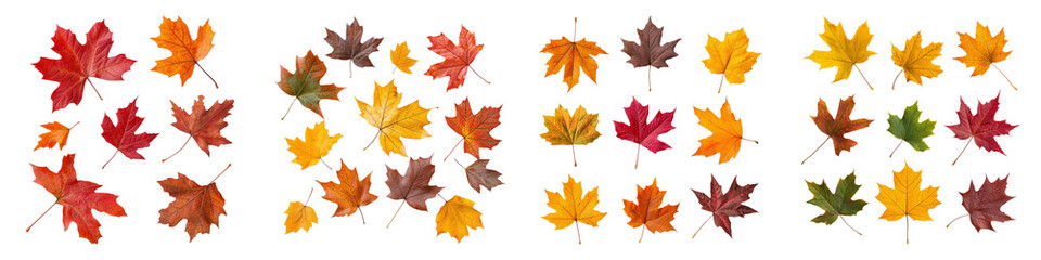 Fototapeta premium Colorful autumn leaves arranged in a decorative pattern. Symbolizes fall, nature, and seasonal change.