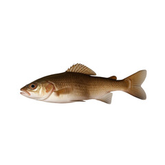 TRANSPARENT PNG ULTRA HD 8K A solitary catfish floating with its whiskers, smooth body, and earthy tones standing out clearly against a transparent background