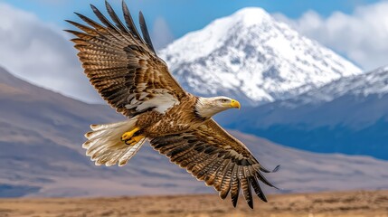 Obraz premium Majestic eagle soaring over mountains with spread wings