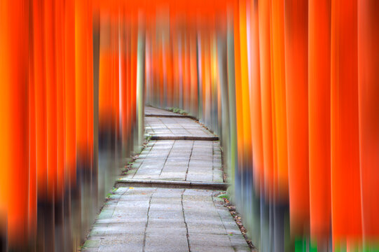 Japan, Kyoto. Abstract of Torii Gates at Shinto shrine. 