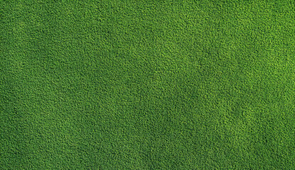 Green Grass Background Texture.