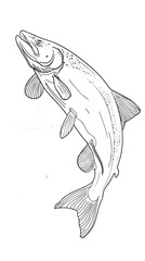 Fototapeta premium Salmon fish in continuous line art drawing style vector