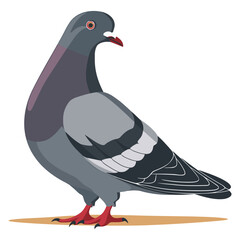 Pigeon Bird. Flat Vector Illustration