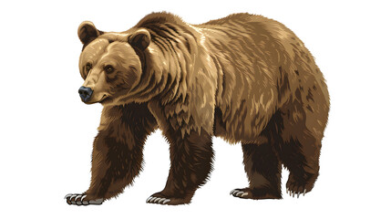 Obraz premium grizzly bear