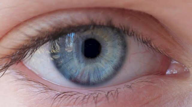 Close-up of Person's Eye With Blue Iris. Blue Eye of Child Looking at Camera Close Up. Macro Shot Opening and Closing Blue Eyes Little Girl. Motion of Children Eyes. Human Eye Iris Opening Pupil.