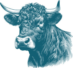 cow vector