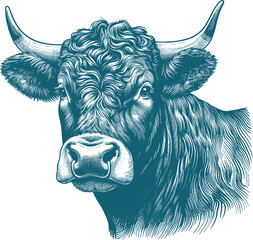 cow vector