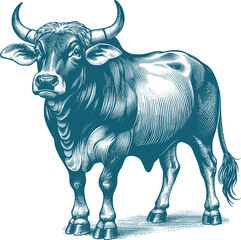 cow vector