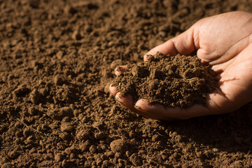 Fertile soil suitable for cultivation is in the hands of the farmer.