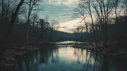 Serene River in the Woods