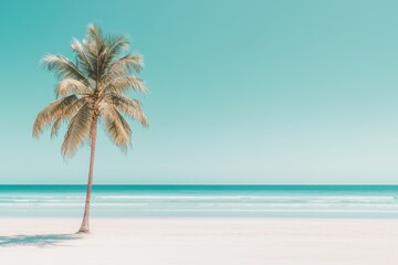 Fototapeta premium Tropical beach paradise with lone palm tree