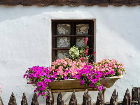 Flower arrangement. The Paloc village Holloko in Hungary, listed as UNESCO World Heritage Site. The traditional farm houses form a complete village as it looked during the middle ages.