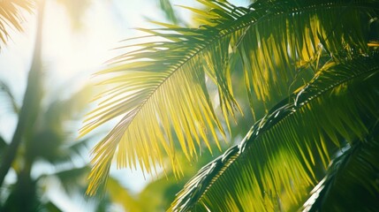 Green palm tree leaves swaying in the breeze, tropical and exotic vacation vibe
