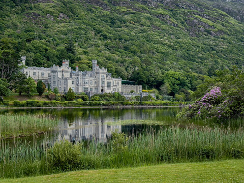 Enclosure in Kyleballynamoe