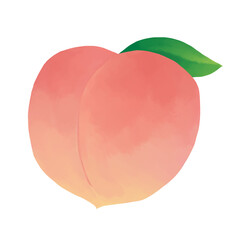 水彩調葉付き桃