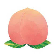 水彩調２枚の葉付き桃