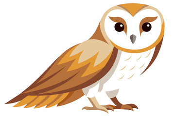 Barn owl vector art illustration