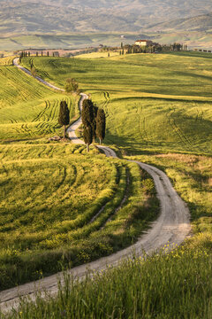 Europe, Italy, Tuscany, Val d'Orcia