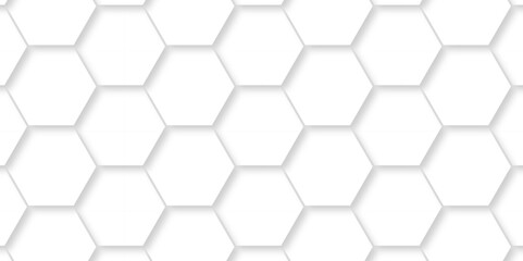 Abstract White Hexagonal Background. Luxury White Pattern. Vector Illustration. 3D Futuristic abstract honeycomb mosaic white background. geometric mesh cell texture. modern futuristic wallpaper.
