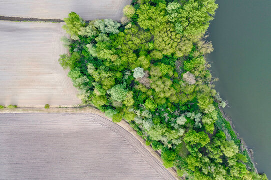Italy, Mantua. Aerial view of recently sown fields on a lake banks.