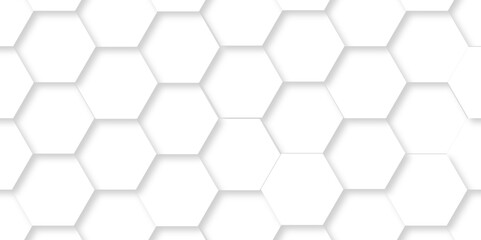 Abstract White Hexagonal Background. Luxury White Pattern. Vector Illustration. 3D Futuristic abstract honeycomb mosaic white background. geometric mesh cell texture. modern futuristic wallpaper.