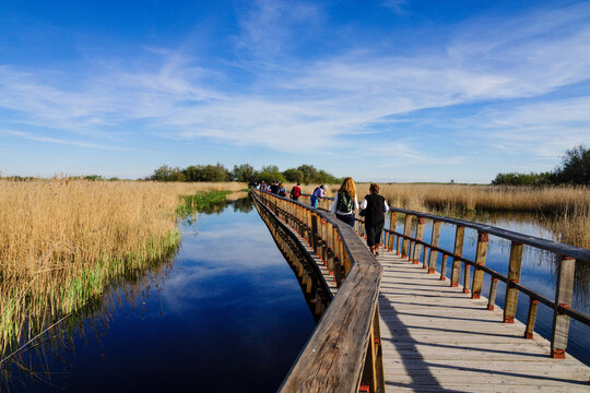 Tablas de Daimiel National Park, Ciudad Real, Castile-La Mancha, Spain, Europe