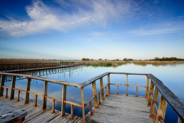 Walkways at sunrise, Tablas de Daimiel National Park, Ciudad Real, Castilla-La Mancha, Spain, Europe