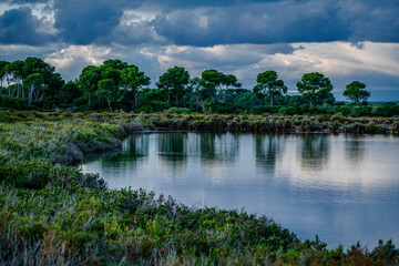 Obraz premium Salobrar de Campos, Es Trenc-Salobrar de Campos Maritime-Terrestrial Natural Park, Mallorca, Balearic Islands, Spain