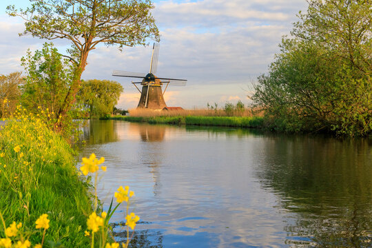 Netherlands, Holland. Utrecht, Abcoude, Molenweg. Windmills.