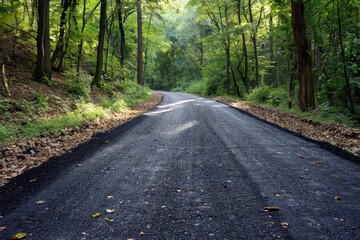Fototapeta premium Road through forest of asphalt