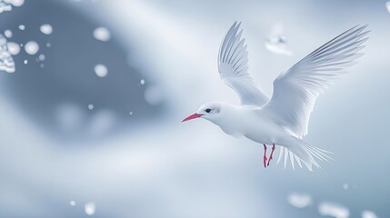 Arctic Tern Arctic Birds Terns Seabirds HD wallpaper : Generative AI