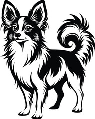 Everything You Need to Know About Papillon Dogs Traits, Health, and Grooming