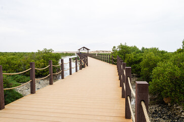 Obraz premium Foot bridge at Purple Island, Al Khor, Qatar