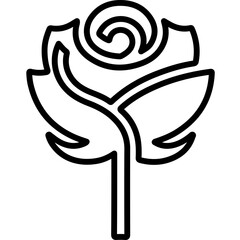 Rose Flower