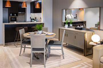 Modern interior house living and dinning zone. Stylish cozy kitchen and dinning room interior