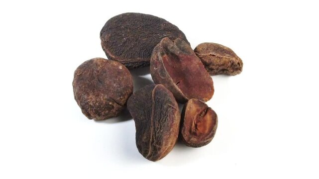 Whole Dry Cola Nuts - Kola Nut Rotating, Falling Pieces